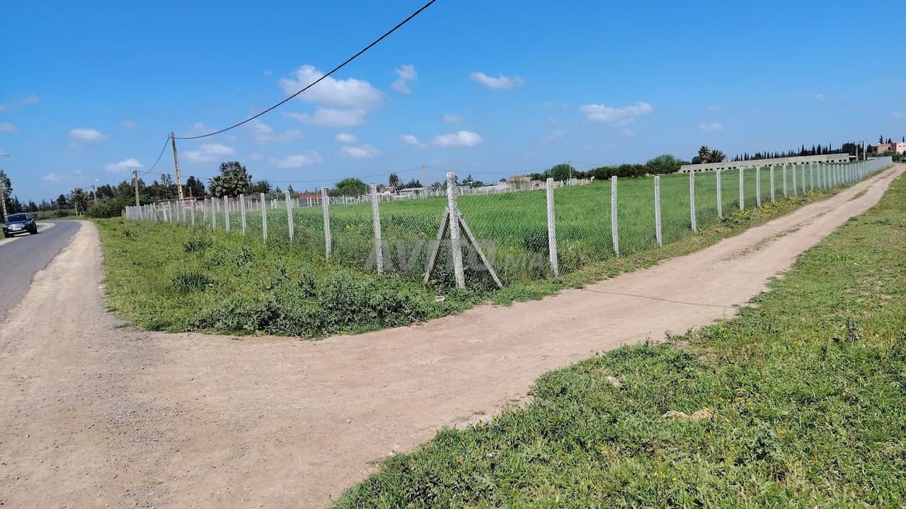 1ha – Écurie 240 m²– Accès Goudronné–8 km de Benslimane